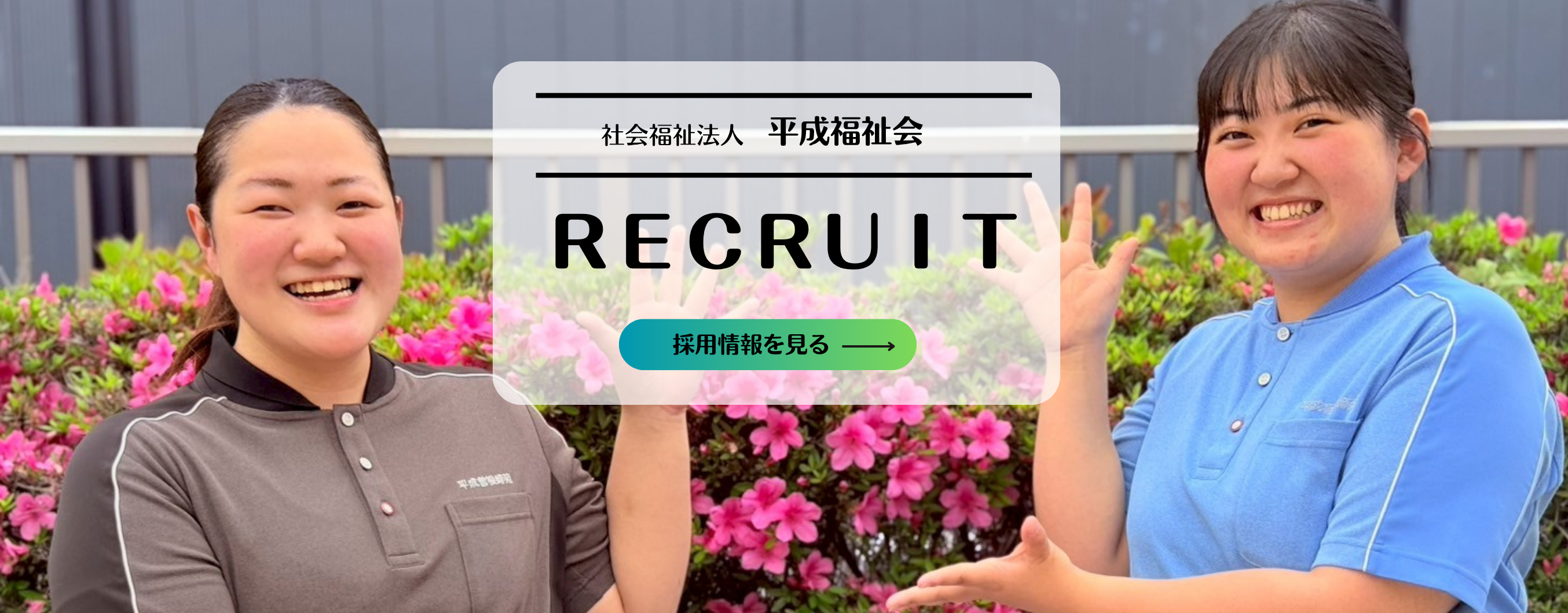 採用情報を見る